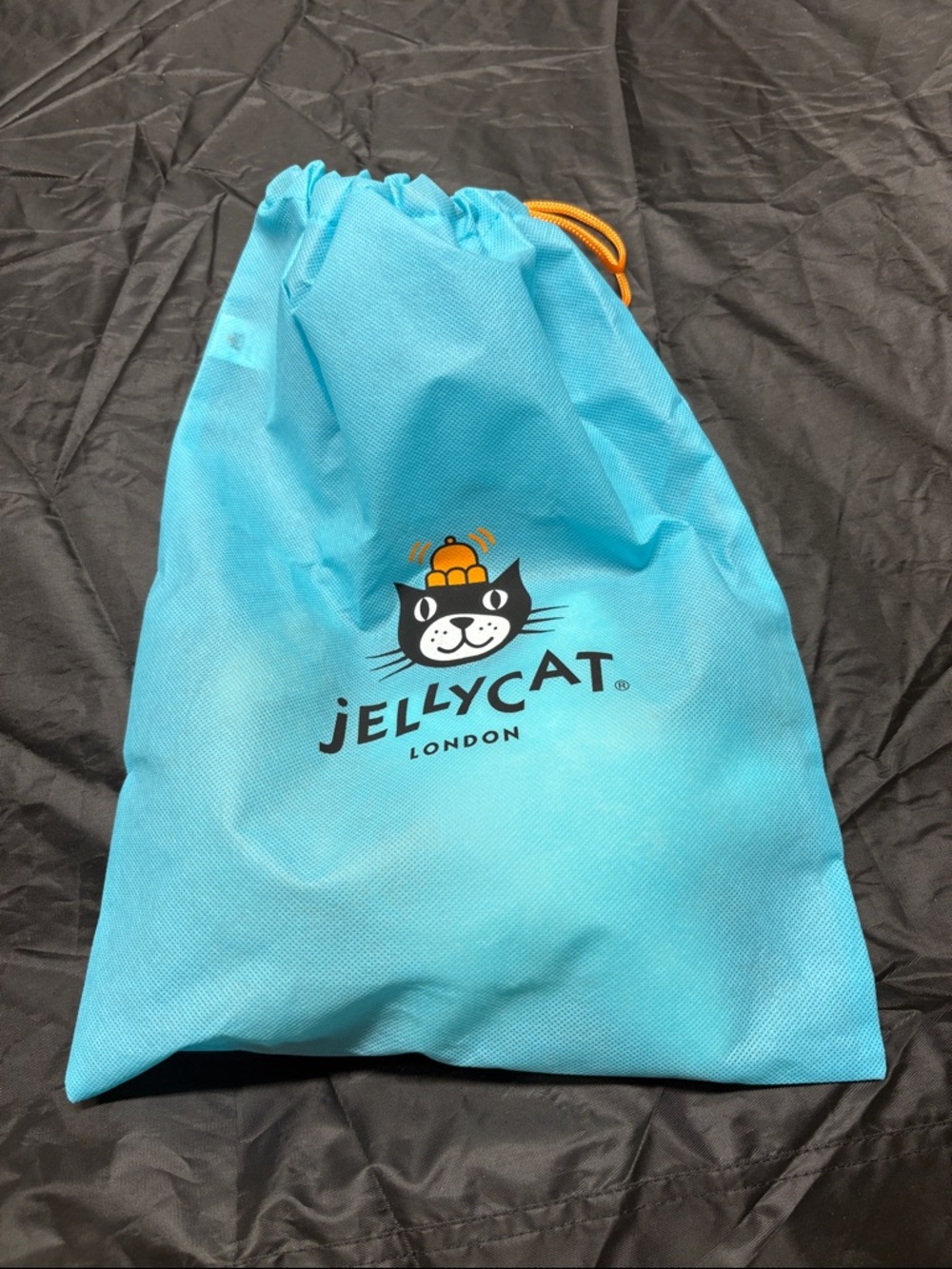 NWT musical baby jellycat